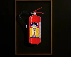 کپسول پودر و گاز 6 کیلویی دژ